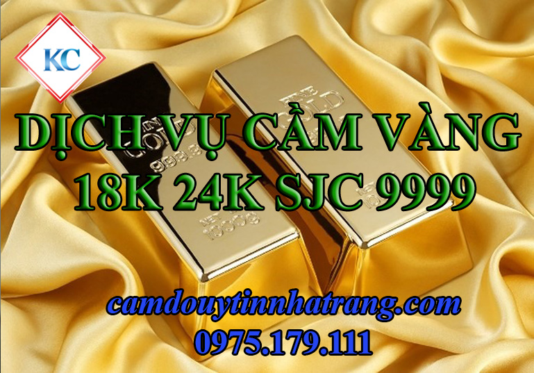 CAMVANGi